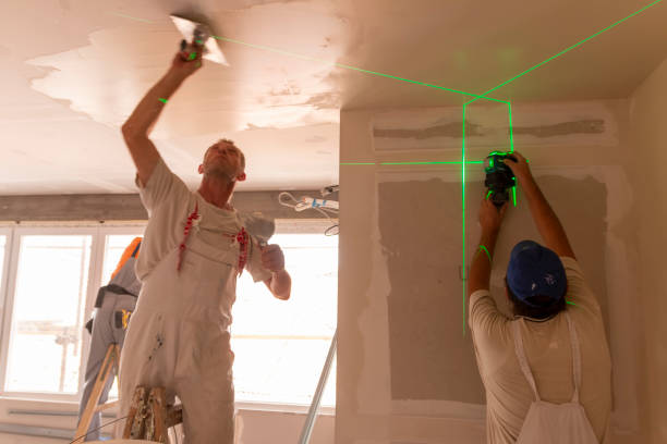 Professional Painting & Drywall Installation in Pine Island, TX